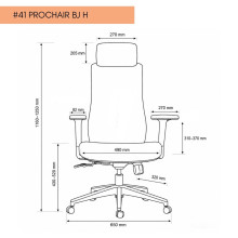 #41 PROCHAIR BJ H
